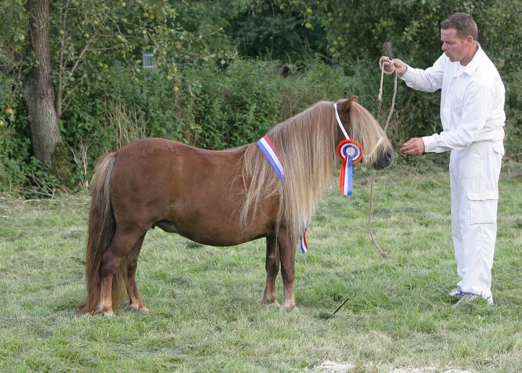 Tamara van STal van Aschberg