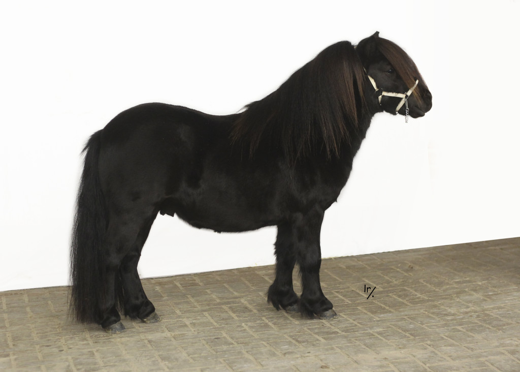 Guus vd Heul FK5F0798